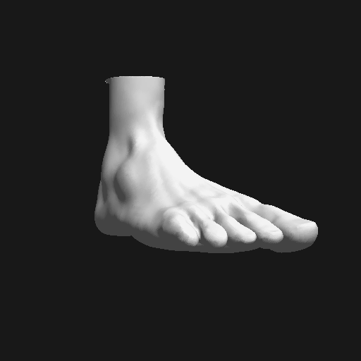 Feet